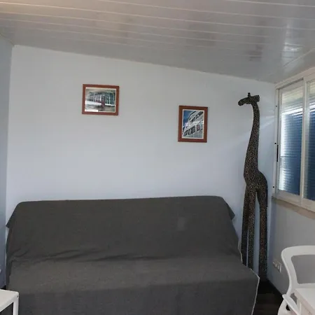 Alexandra Сіджас