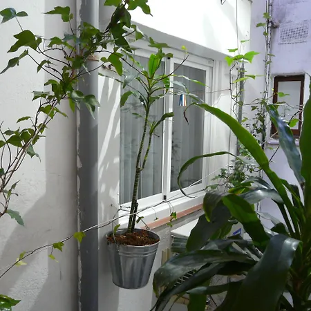 Alexandra Готель